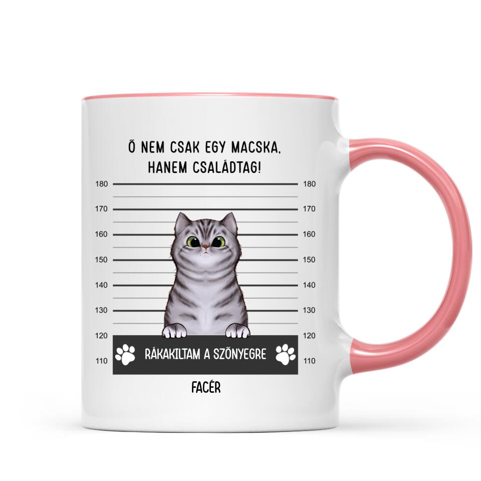 Egyedi cicás bögre - bűnös macskák