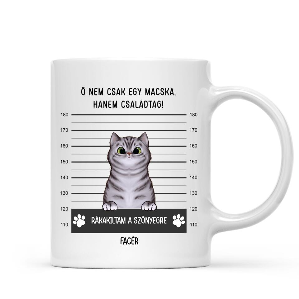 Egyedi cicás bögre - bűnös macskák