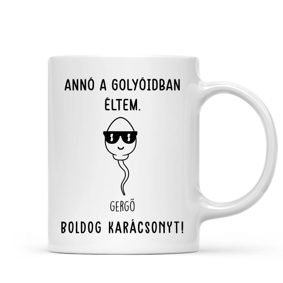 Egyedi bögre édesapáknak - annó a golyóidban éltem