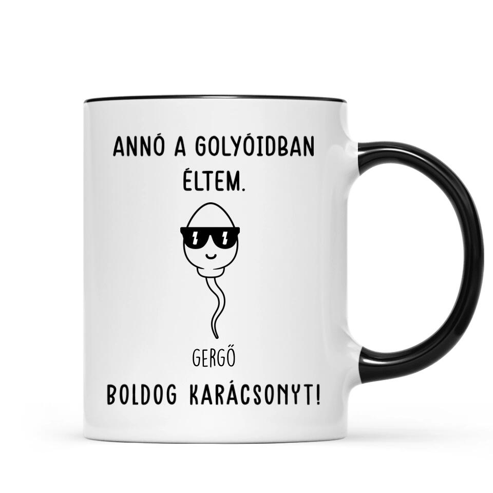 Egyedi bögre édesapáknak - annó a golyóidban éltem