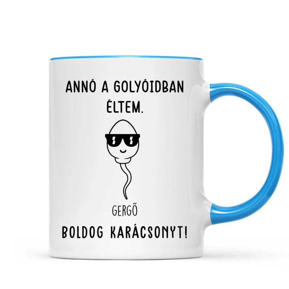 Egyedi bögre édesapáknak - annó a golyóidban éltem