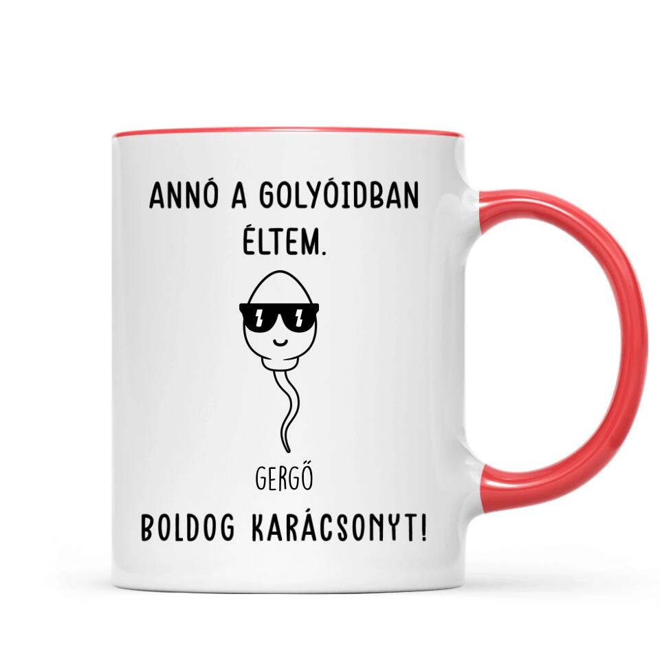 Egyedi bögre édesapáknak - annó a golyóidban éltem