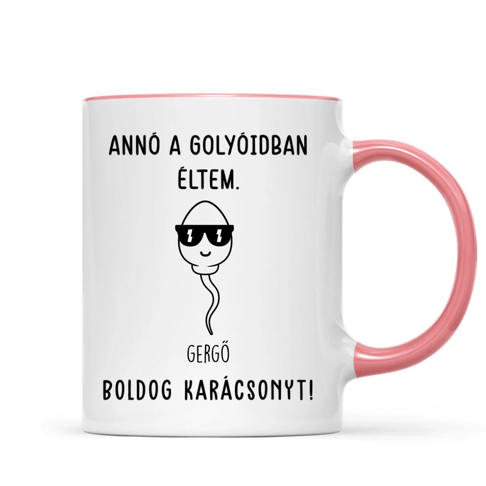 Egyedi bögre édesapáknak - annó a golyóidban éltem