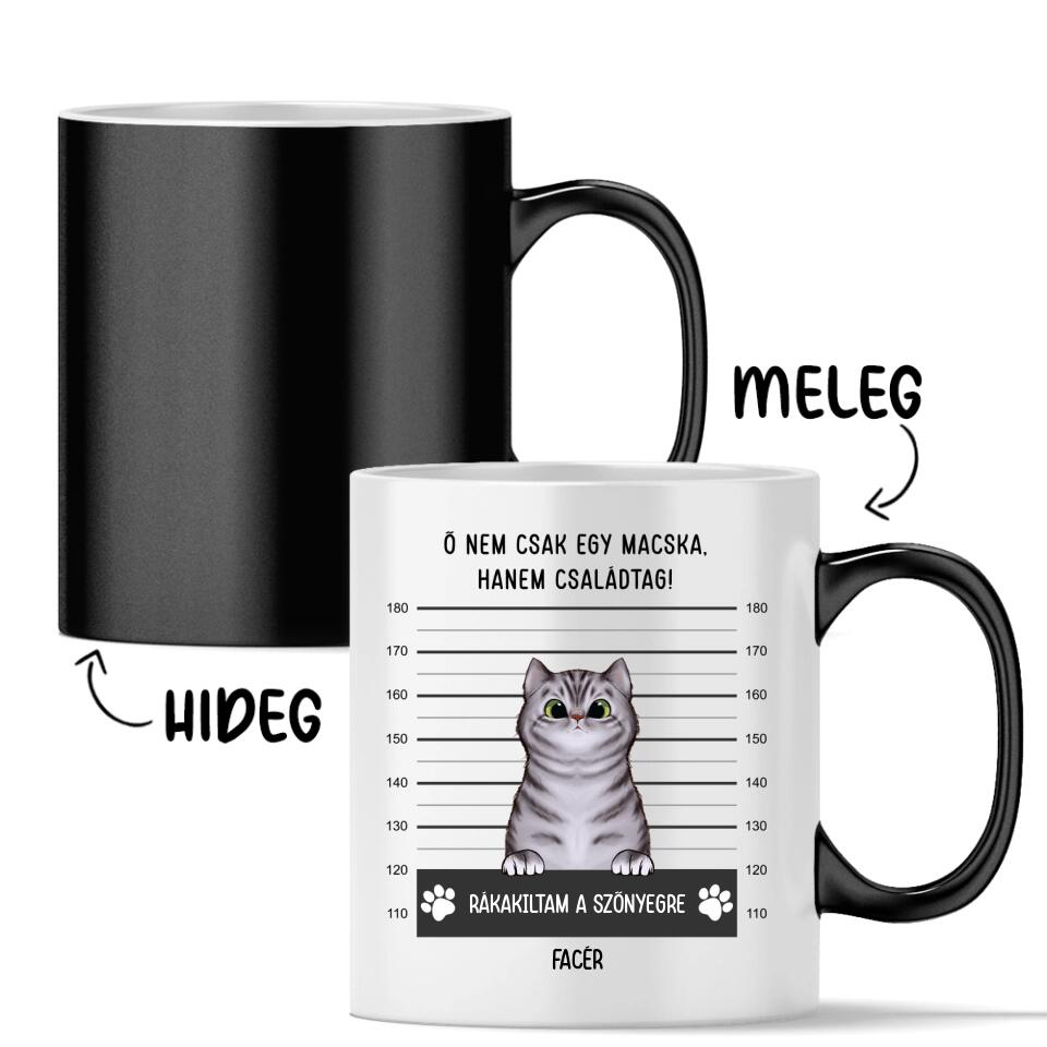 Egyedi cicás bögre - bűnös macskák