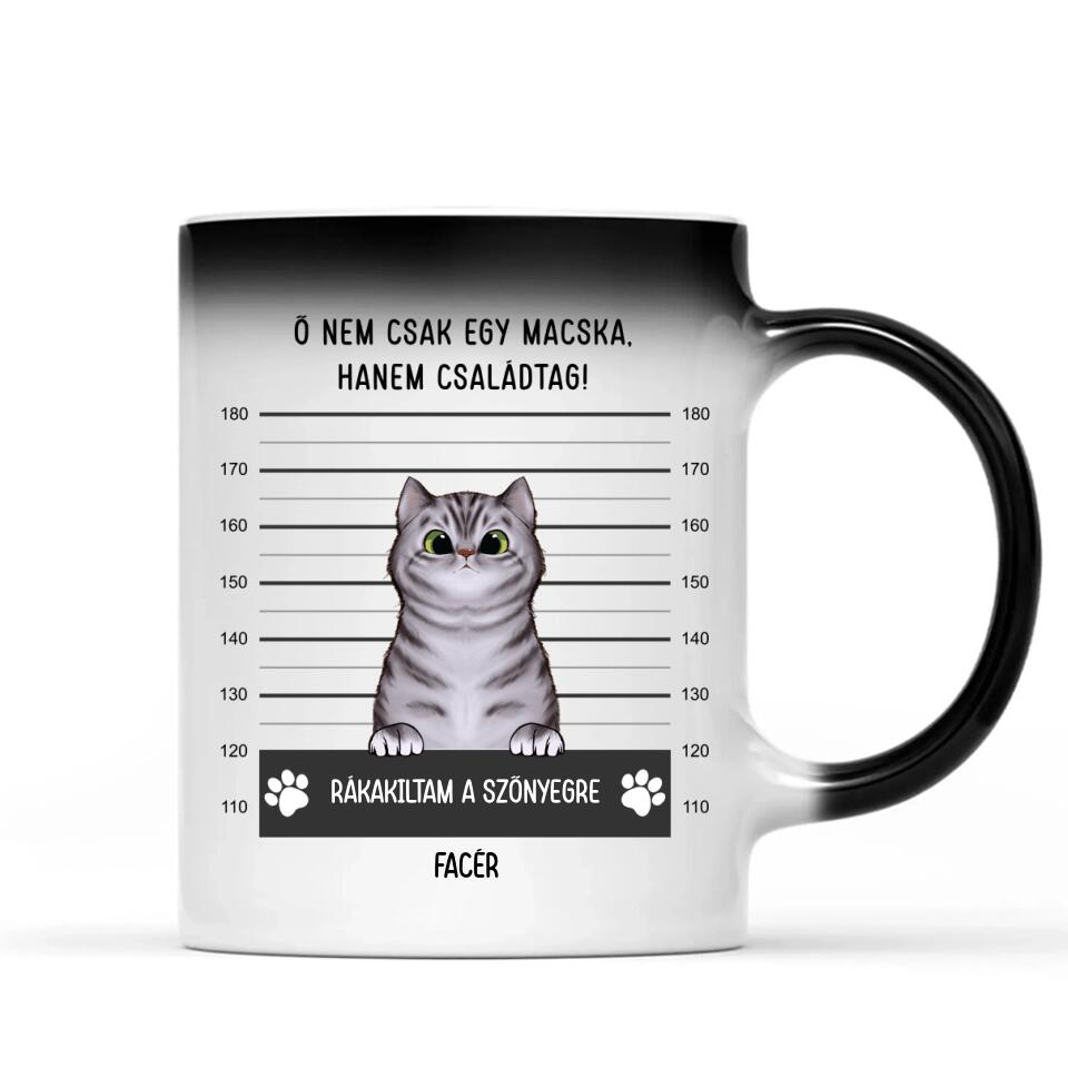 Egyedi cicás bögre - bűnös macskák