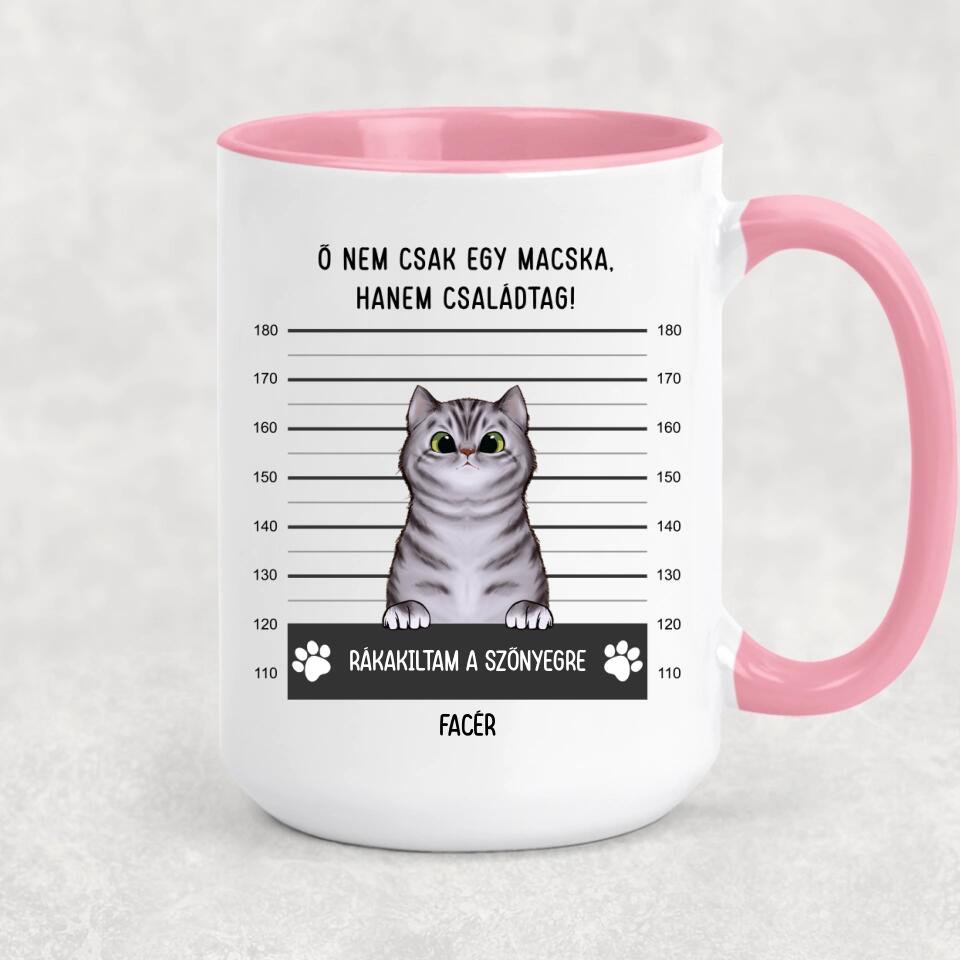 Egyedi cicás bögre - bűnös macskák