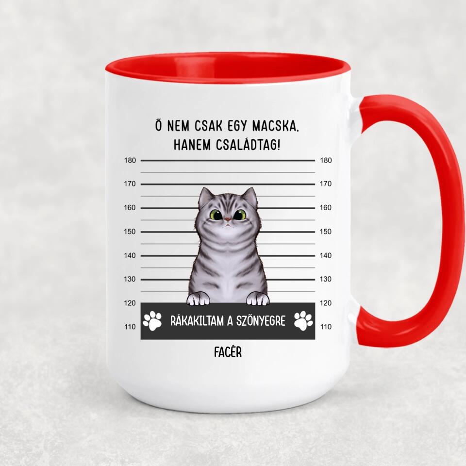 Egyedi cicás bögre - bűnös macskák