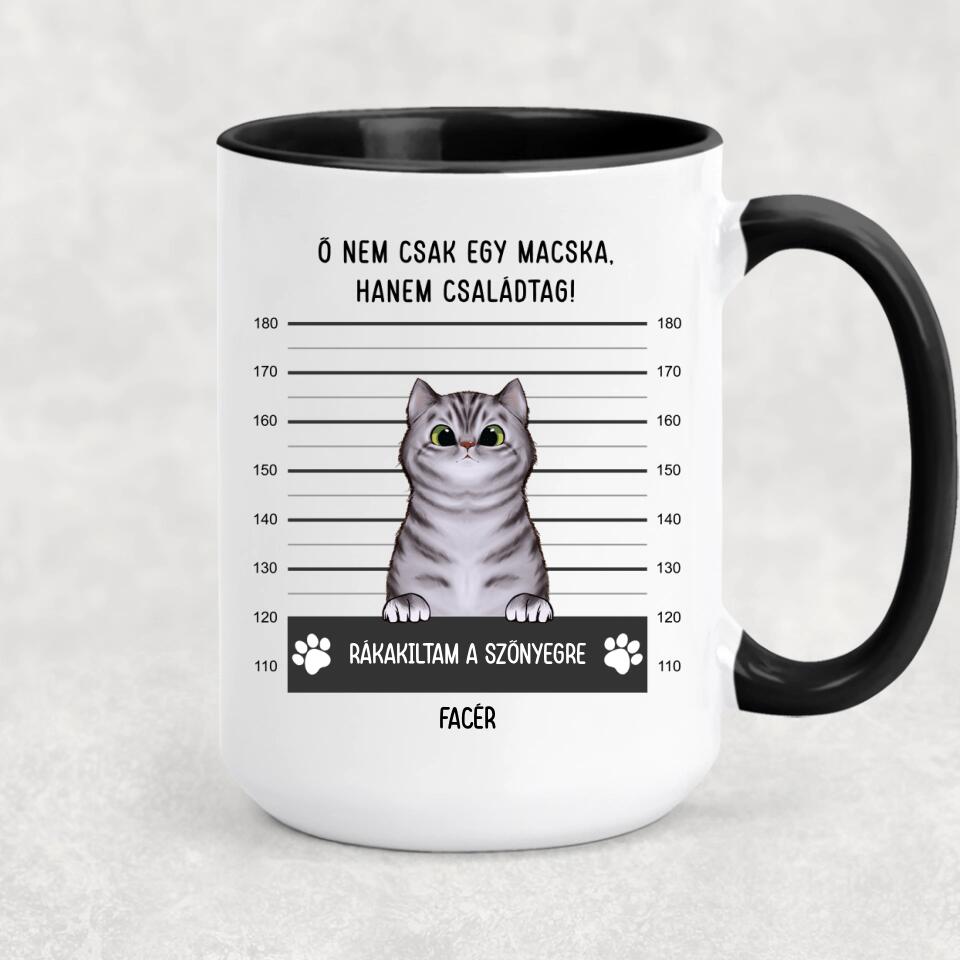Egyedi cicás bögre - bűnös macskák