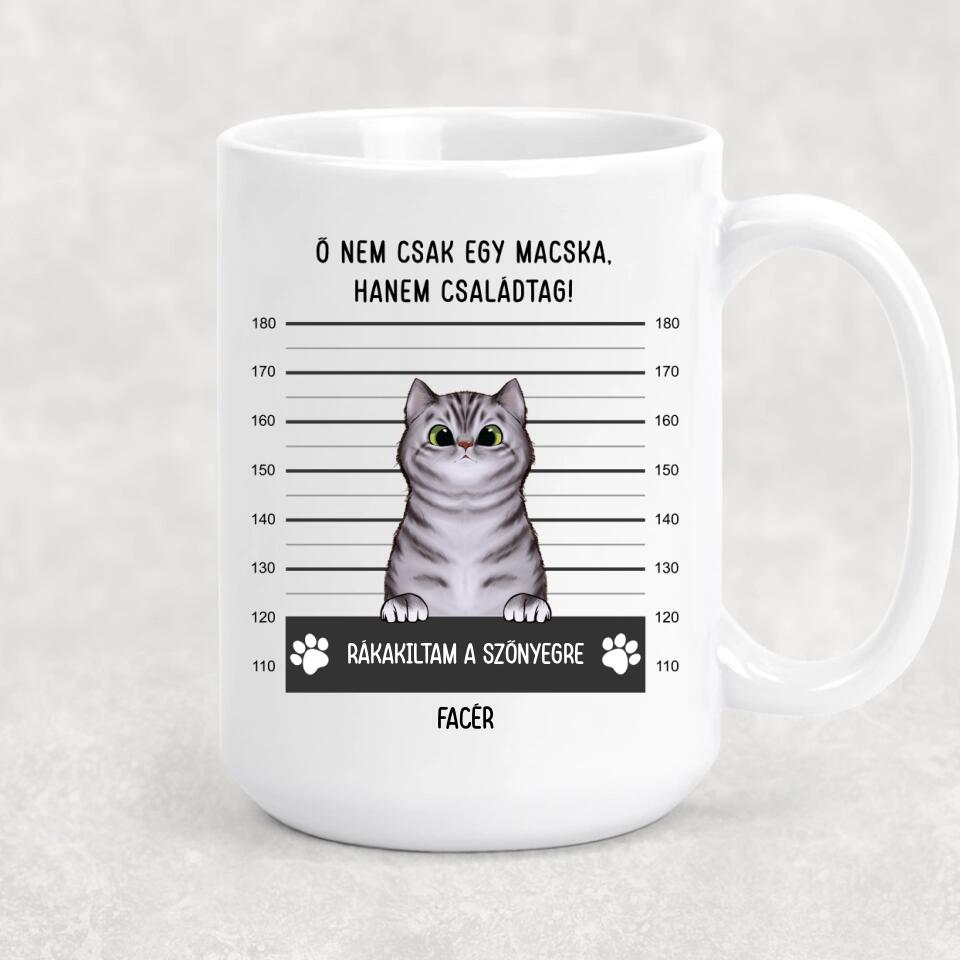 Egyedi cicás bögre - bűnös macskák