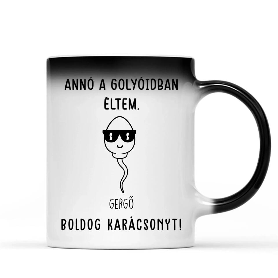 Egyedi bögre édesapáknak - annó a golyóidban éltem