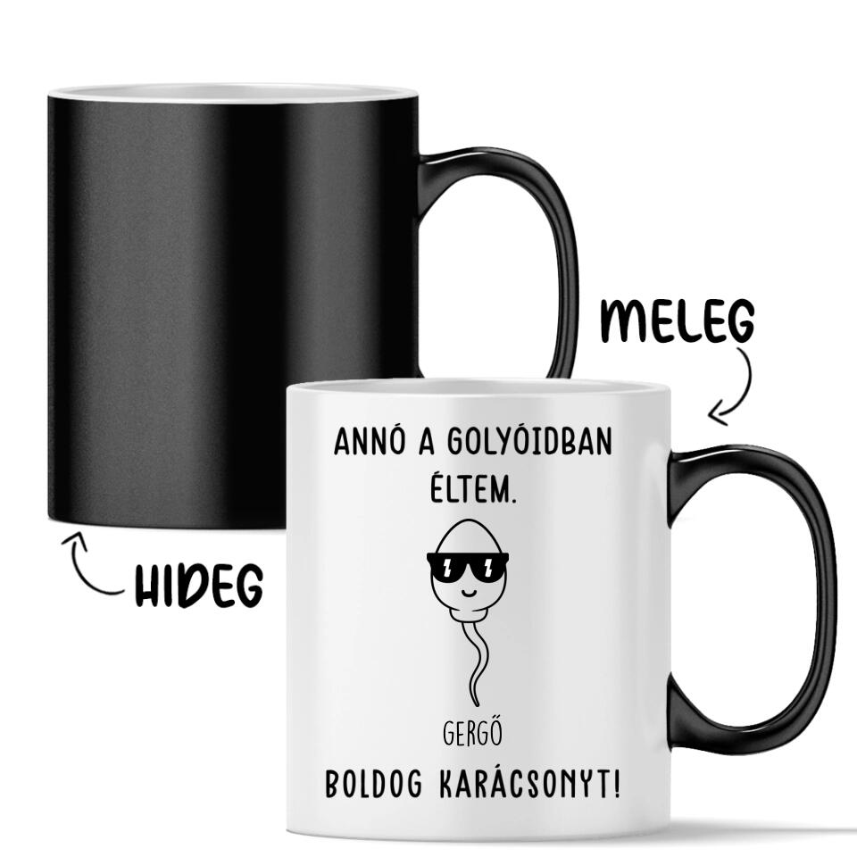Egyedi bögre édesapáknak - annó a golyóidban éltem