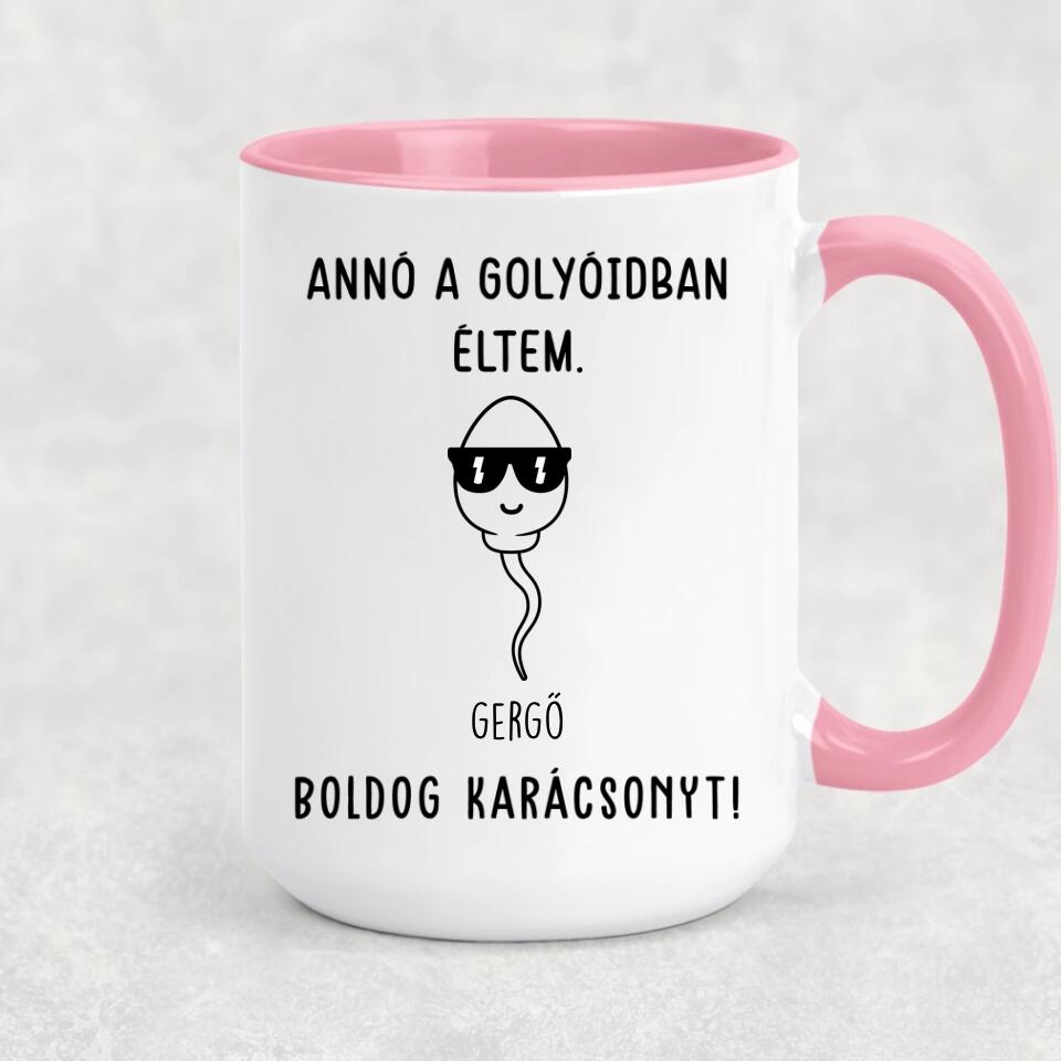 Egyedi bögre édesapáknak - annó a golyóidban éltem