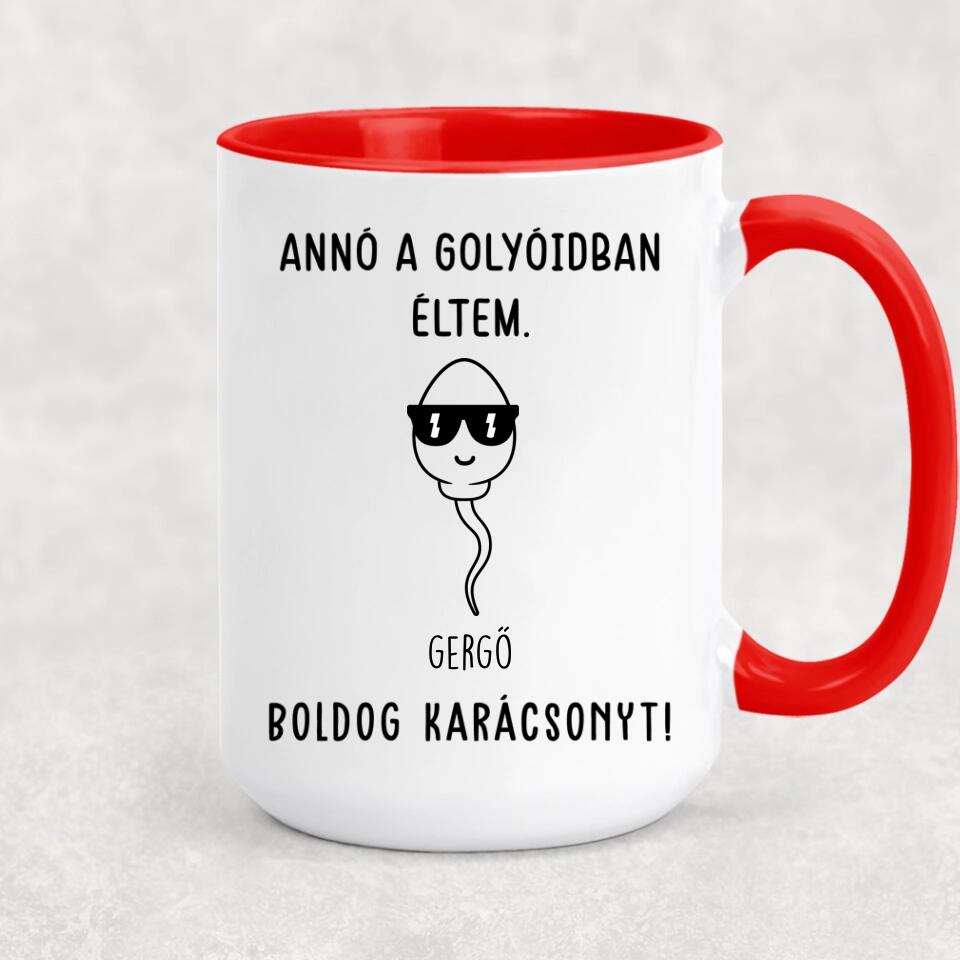 Egyedi bögre édesapáknak - annó a golyóidban éltem