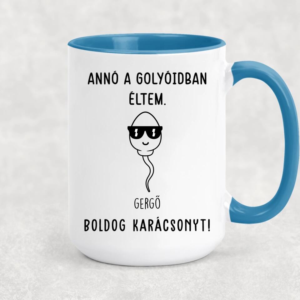 Egyedi bögre édesapáknak - annó a golyóidban éltem