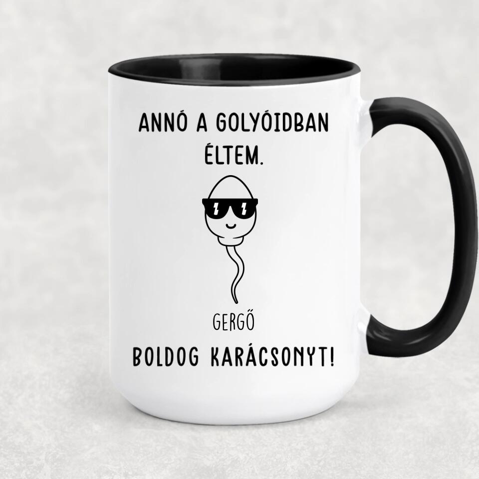 Egyedi bögre édesapáknak - annó a golyóidban éltem