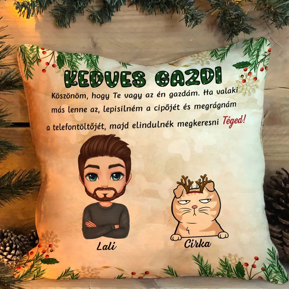 Egyedi párna fiú gazdiknak - karácsonyi cicák