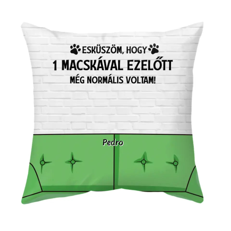 Egyedi cicás párna gazdiknak - normális voltam
