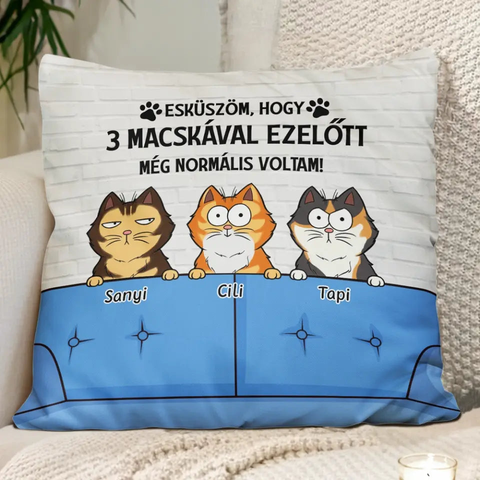 Egyedi cicás párna gazdiknak - normális voltam