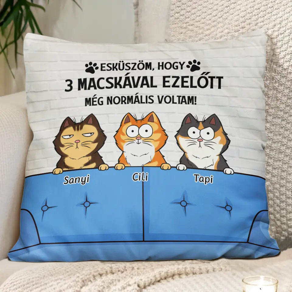 Egyedi cicás párna gazdiknak - normális voltam