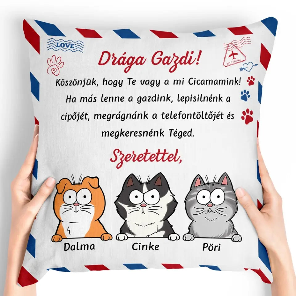 Egyedi cicás párna gazdiknak - kedves gazdi