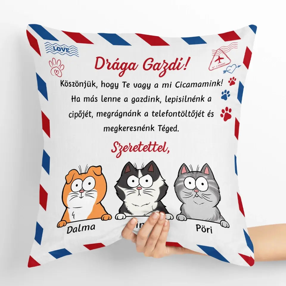 Egyedi cicás párna gazdiknak - kedves gazdi