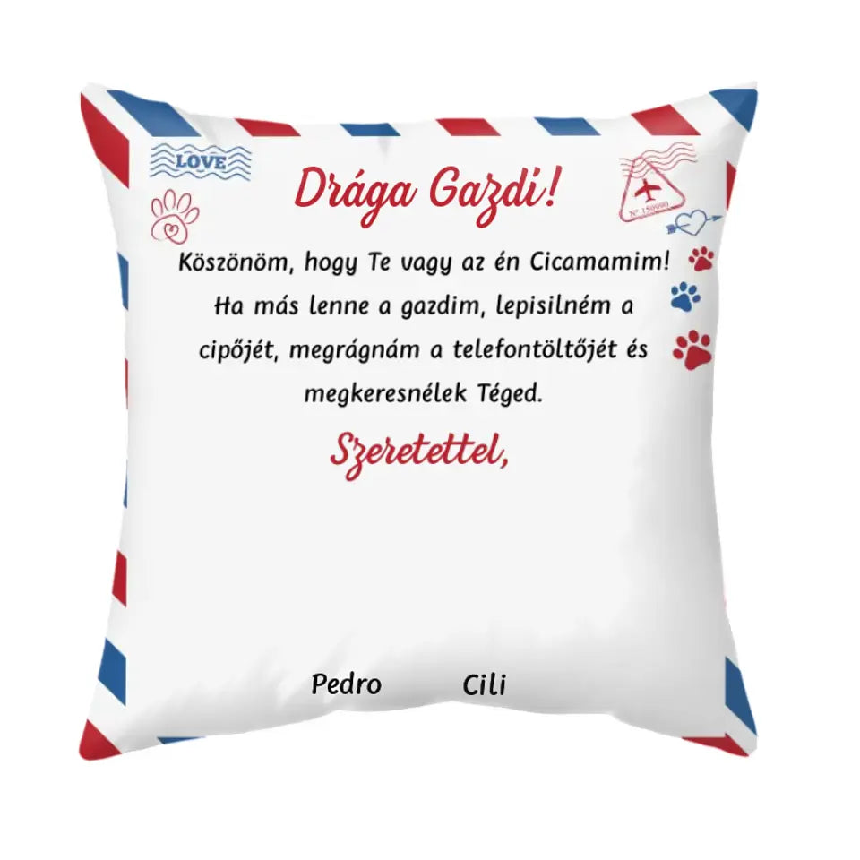 Egyedi cicás párna gazdiknak - kedves gazdi