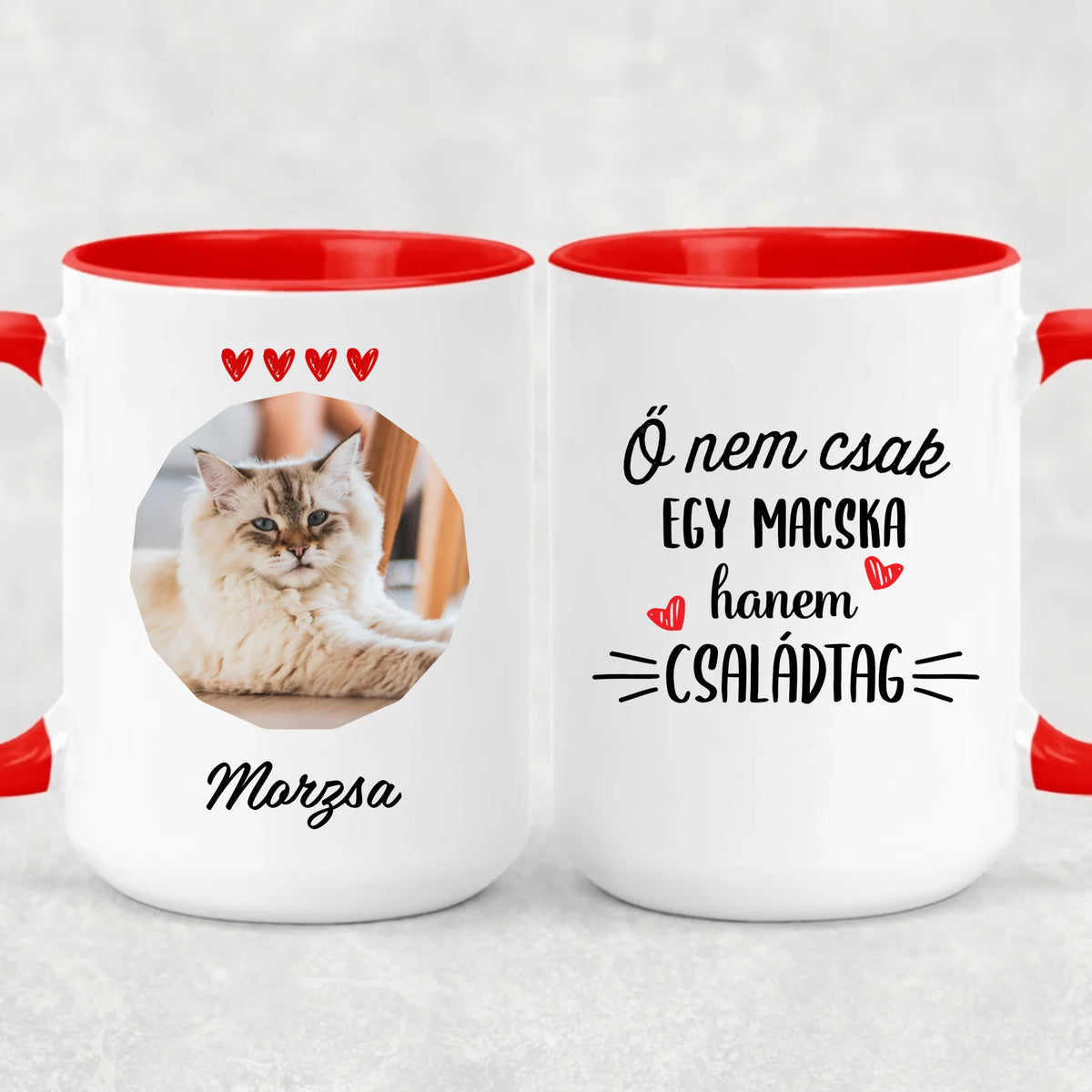 Egyedi saját fotós bögre gazdiknak - Ő nem csak egy macska